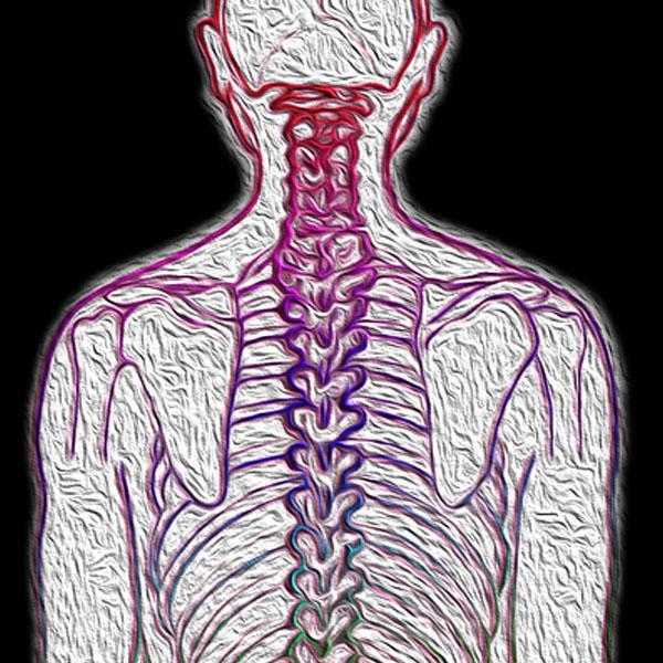 Scoliosis – Chiropractic Treatment
