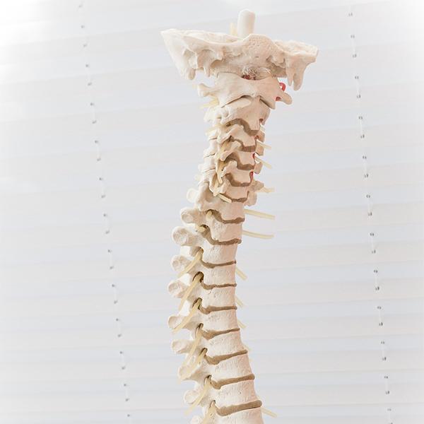 The Long Term Effects of Whiplash – Gastonia Chiropractor